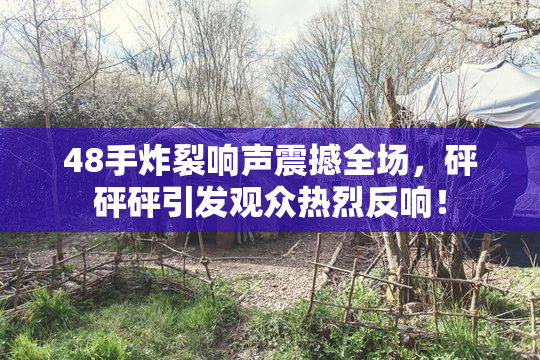 48手炸裂响声震撼全场，砰砰砰引发观众热烈反响！