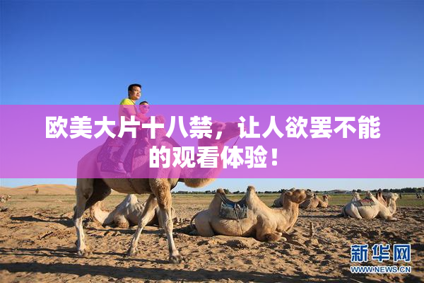 欧美大片十八禁，让人欲罢不能的观看体验！
