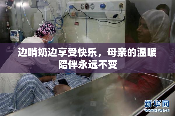 边啃奶边享受快乐，母亲的温暖陪伴永远不变