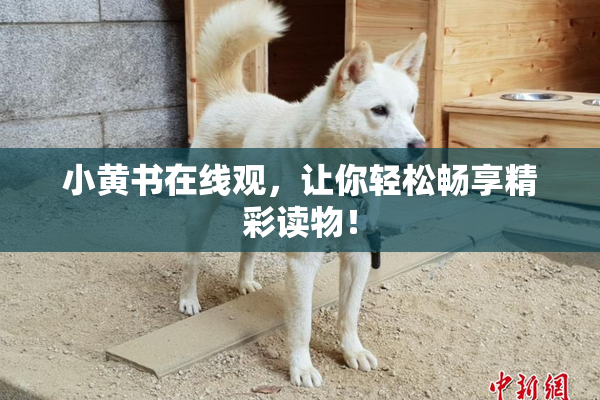 小黄书在线观，让你轻松畅享精彩读物！
