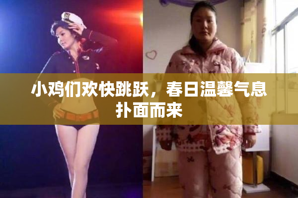 小鸡们欢快跳跃，春日温馨气息扑面而来