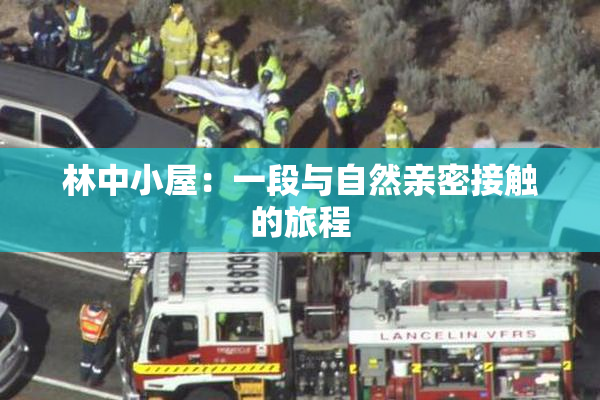 林中小屋：一段与自然亲密接触的旅程