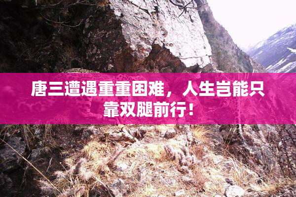 唐三遭遇重重困难，人生岂能只靠双腿前行！