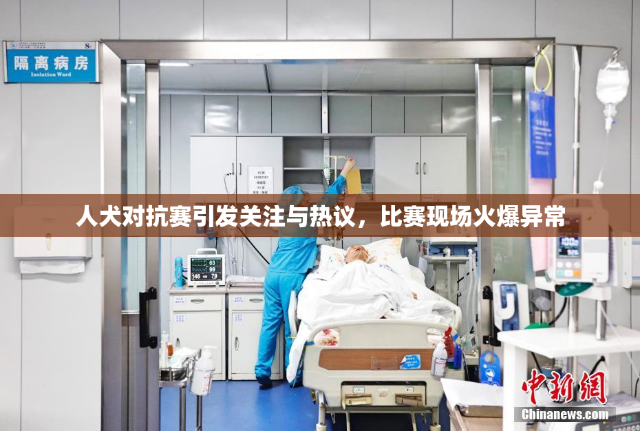 人犬对抗赛引发关注与热议，比赛现场火爆异常