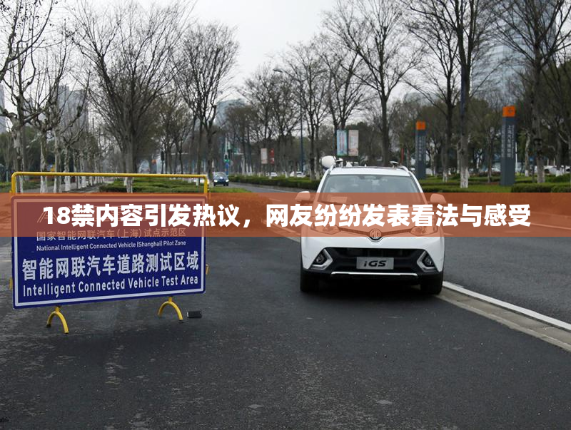 18禁内容引发热议，网友纷纷发表看法与感受