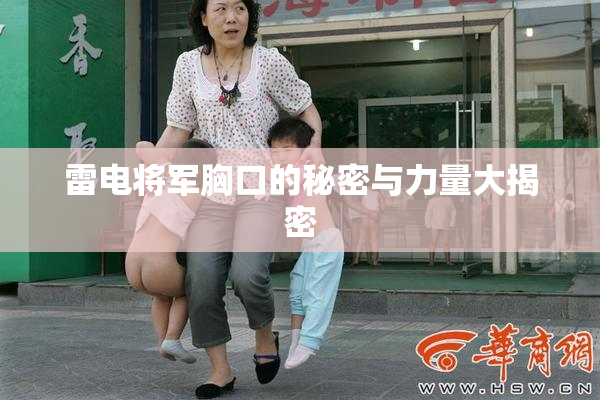 雷电将军胸口的秘密与力量大揭密