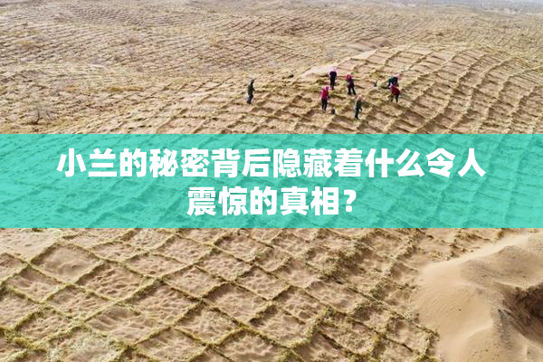 小兰的秘密背后隐藏着什么令人震惊的真相？