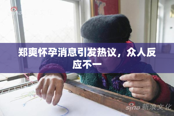 郑爽怀孕消息引发热议，众人反应不一
