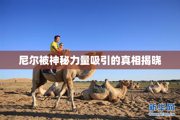 尼尔被神秘力量吸引的真相揭晓