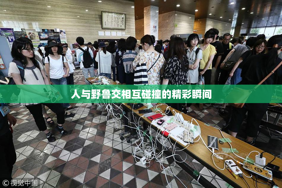 人与野鲁交相互碰撞的精彩瞬间