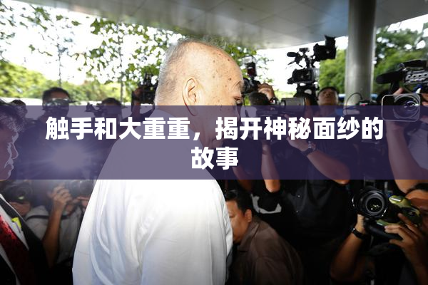 触手和大重重，揭开神秘面纱的故事