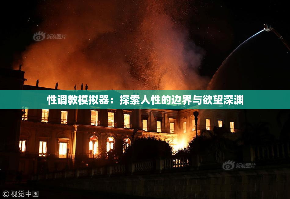 性调教模拟器：探索人性的边界与欲望深渊
