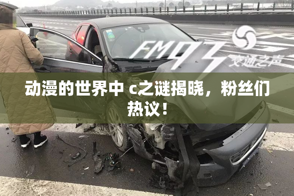 动漫的世界中 c之谜揭晓，粉丝们热议！