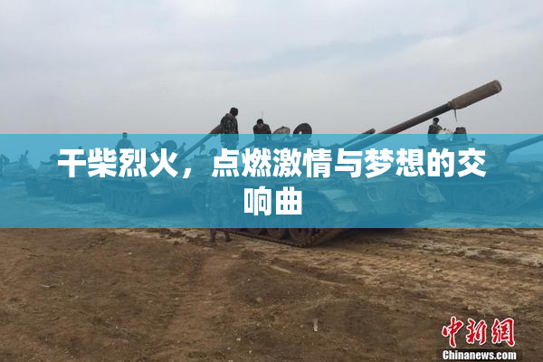 干柴烈火，点燃激情与梦想的交响曲
