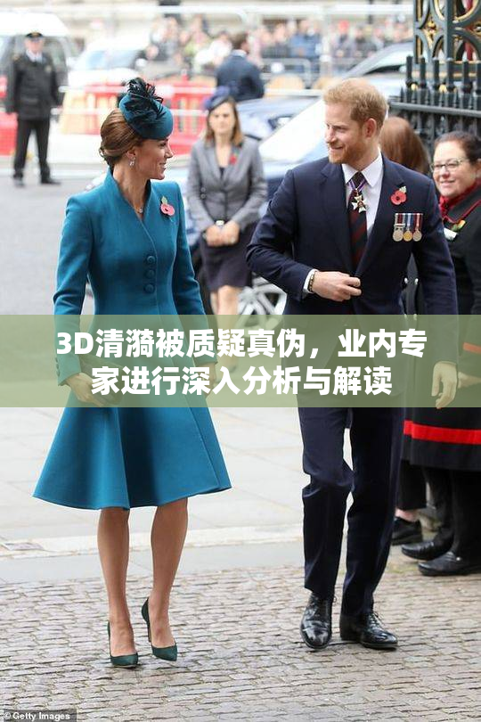 3D清漪被质疑真伪，业内专家进行深入分析与解读