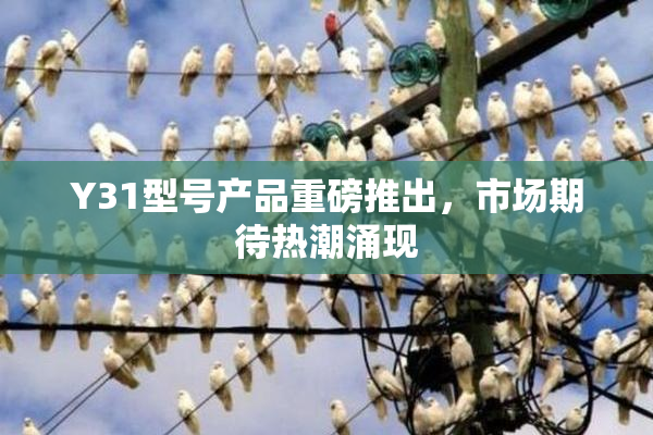 Y31型号产品重磅推出，市场期待热潮涌现