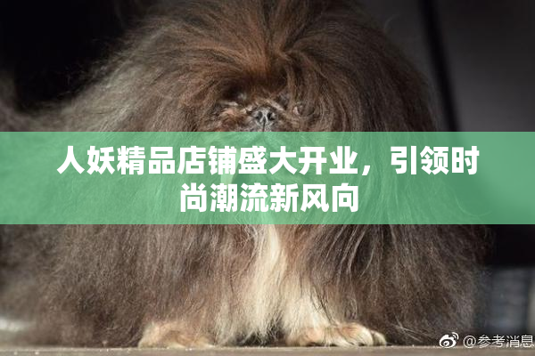 人妖精品店铺盛大开业，引领时尚潮流新风向