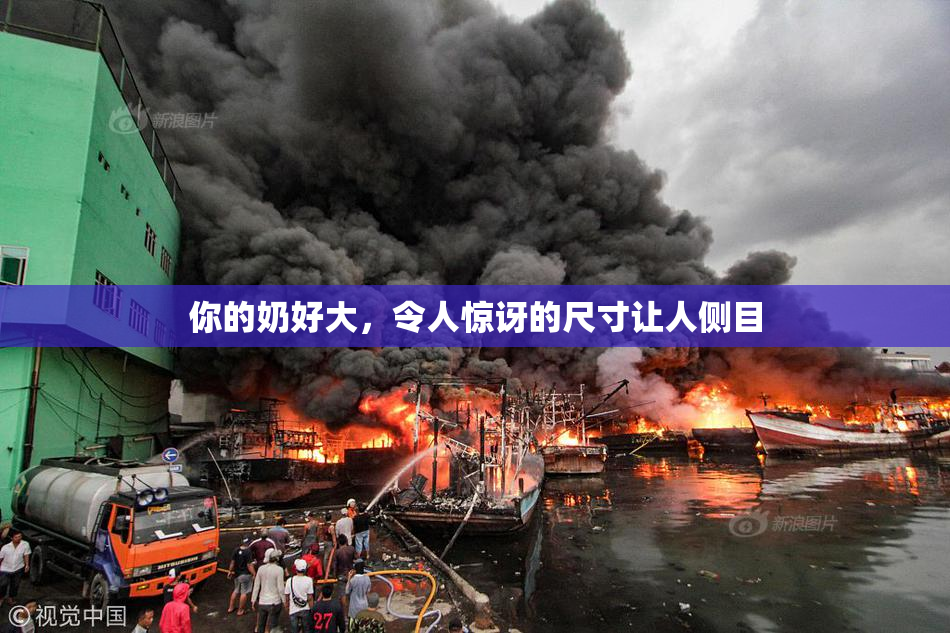 你的奶好大，令人惊讶的尺寸让人侧目