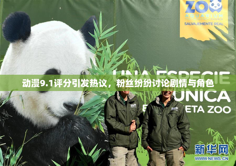 动漫9.1评分引发热议，粉丝纷纷讨论剧情与角色