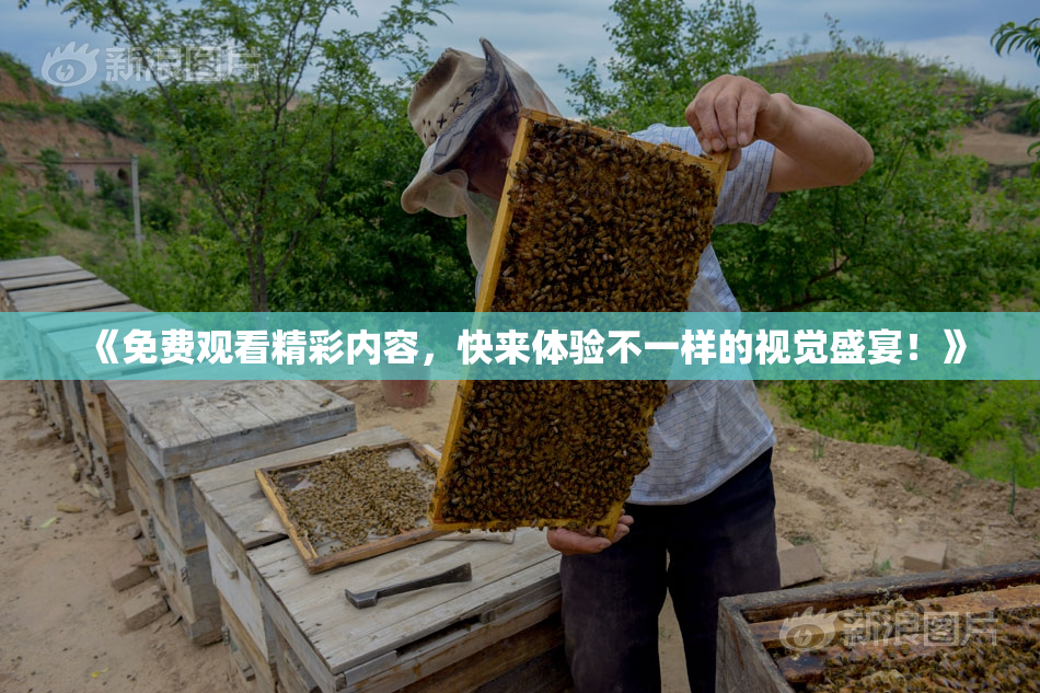 《免费观看精彩内容，快来体验不一样的视觉盛宴！》