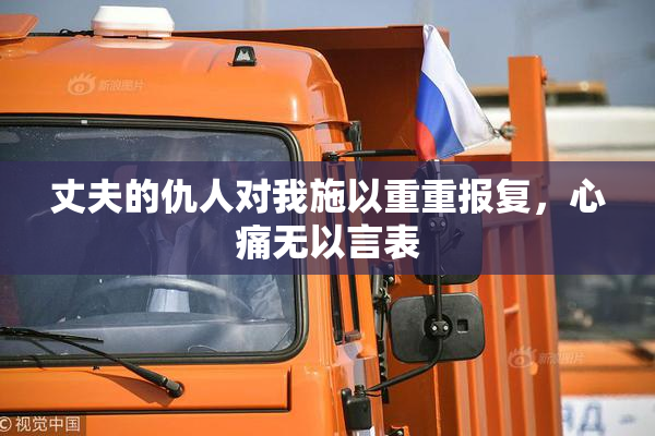丈夫的仇人对我施以重重报复，心痛无以言表