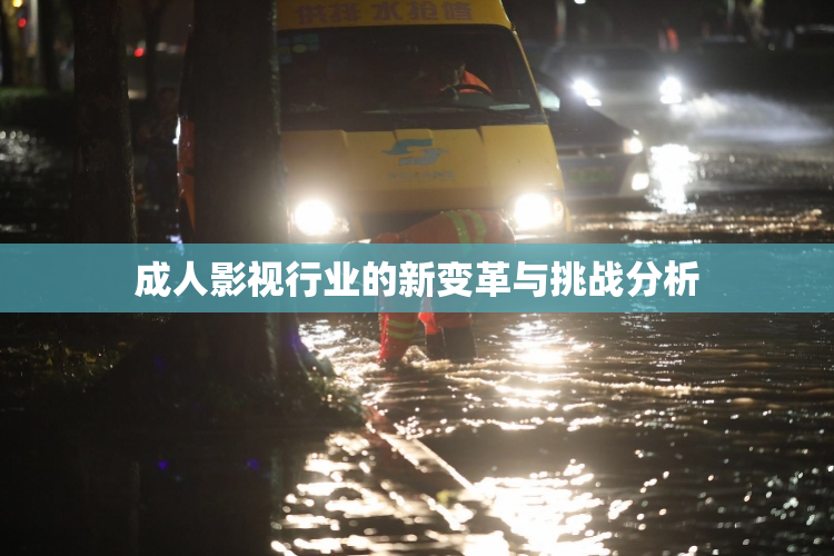 成人影视行业的新变革与挑战分析