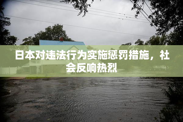 日本对违法行为实施惩罚措施，社会反响热烈
