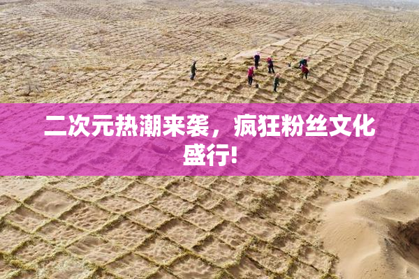 二次元热潮来袭，疯狂粉丝文化盛行!