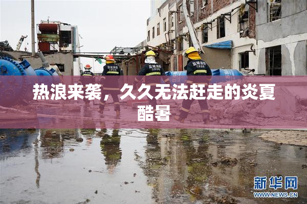 热浪来袭，久久无法赶走的炎夏酷暑