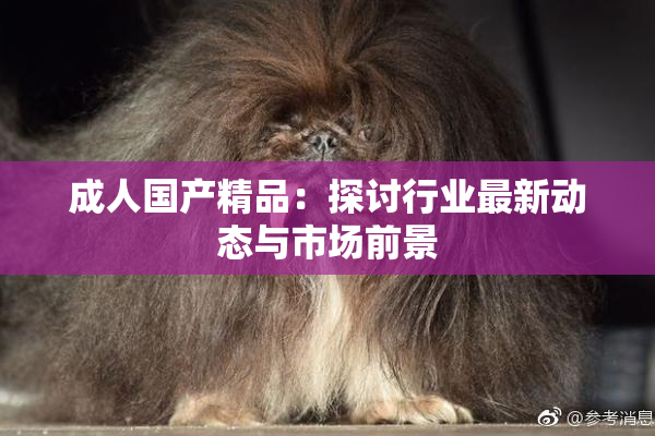 成人国产精品：探讨行业最新动态与市场前景