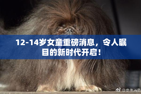12-14岁女童重磅消息，令人瞩目的新时代开启！