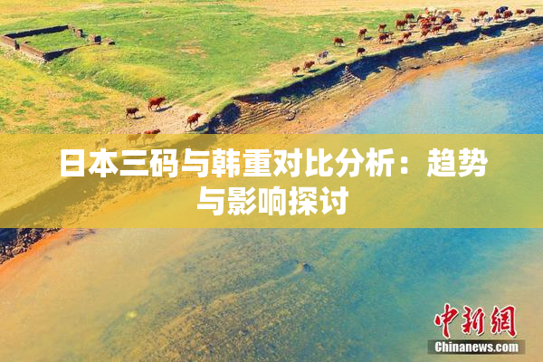 日本三码与韩重对比分析：趋势与影响探讨
