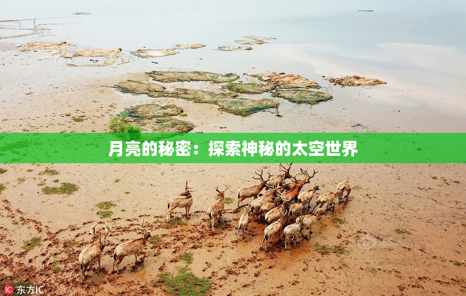 月亮的秘密：探索神秘的太空世界
