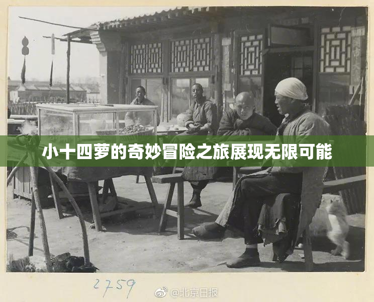 小十四萝的奇妙冒险之旅展现无限可能