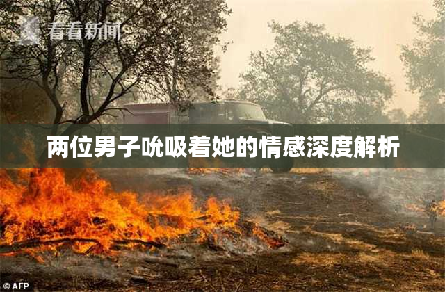 两位男子吮吸着她的情感深度解析