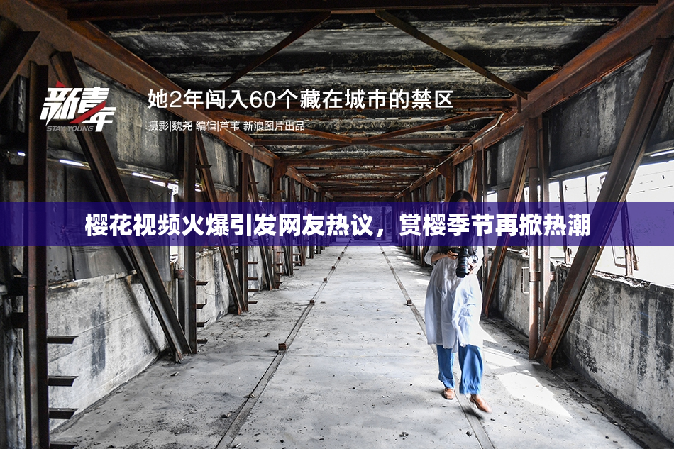 樱花视频火爆引发网友热议，赏樱季节再掀热潮