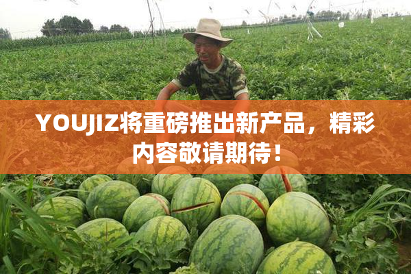 YOUJIZ将重磅推出新产品，精彩内容敬请期待！