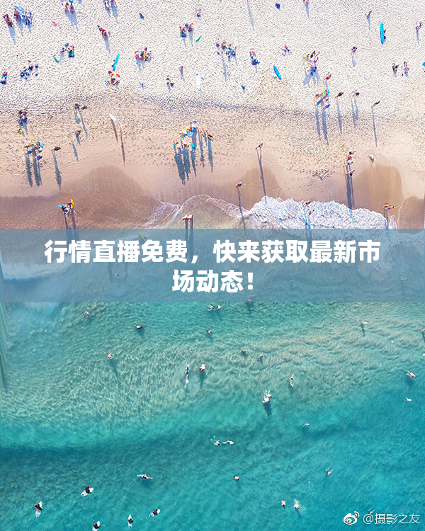 行情直播免费，快来获取最新市场动态！