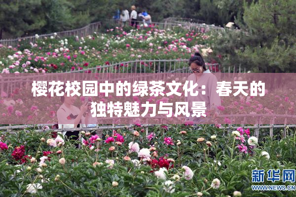 樱花校园中的绿茶文化：春天的独特魅力与风景