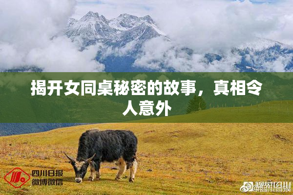 揭开女同桌秘密的故事，真相令人意外