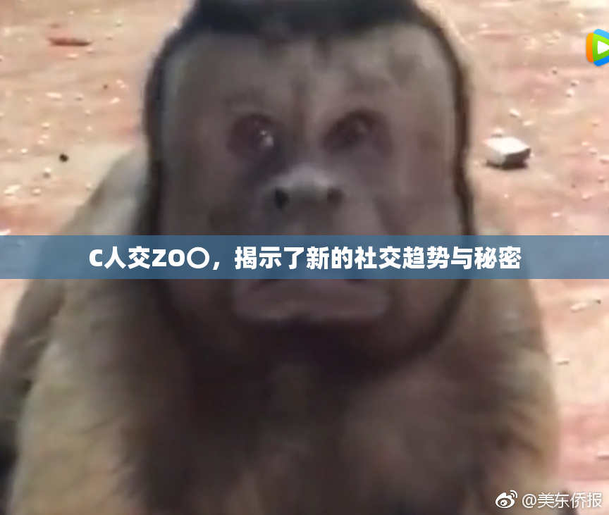 C人交ZO〇，揭示了新的社交趋势与秘密