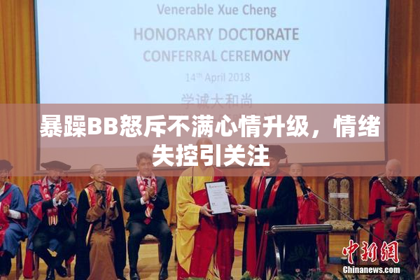 暴躁BB怒斥不满心情升级，情绪失控引关注