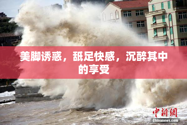美脚诱惑，舐足快感，沉醉其中的享受