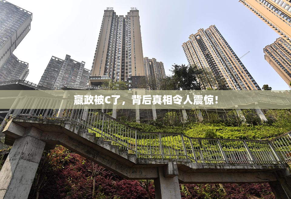 嬴政被C了，背后真相令人震惊！
