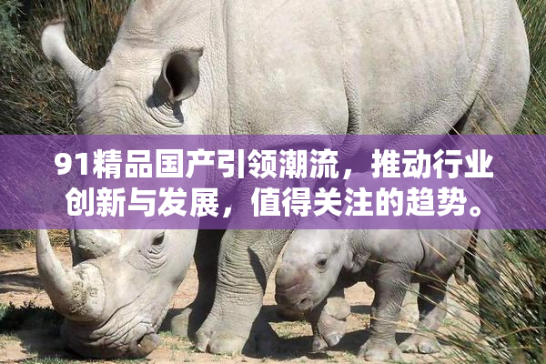 91精品国产引领潮流，推动行业创新与发展，值得关注的趋势。