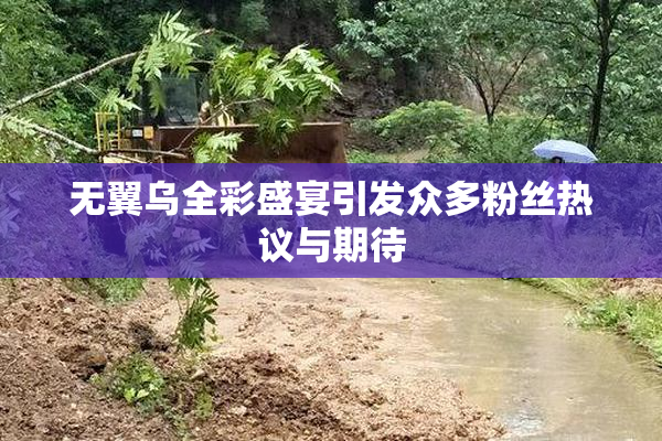 无翼乌全彩盛宴引发众多粉丝热议与期待