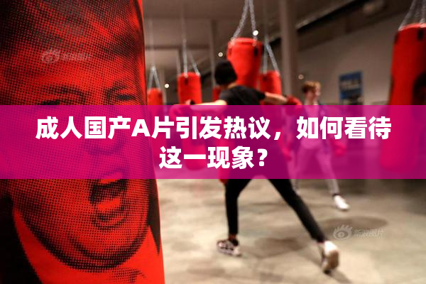 成人国产A片引发热议，如何看待这一现象？