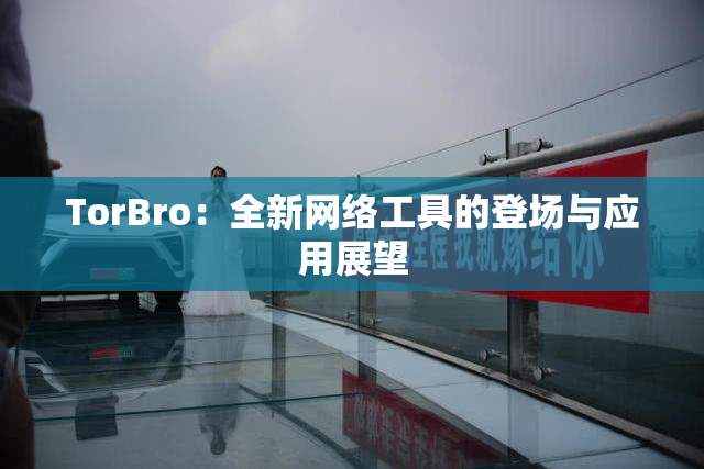 TorBro：全新网络工具的登场与应用展望