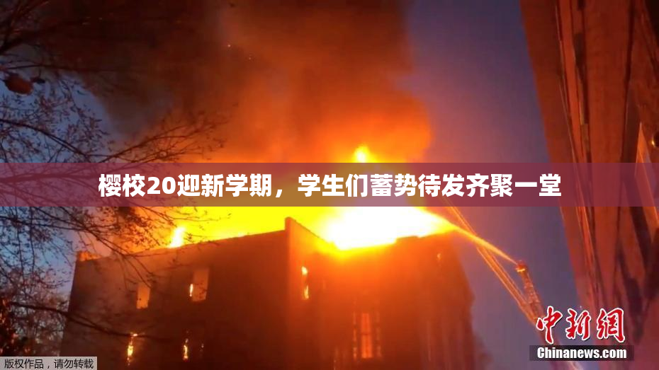 樱校20迎新学期，学生们蓄势待发齐聚一堂