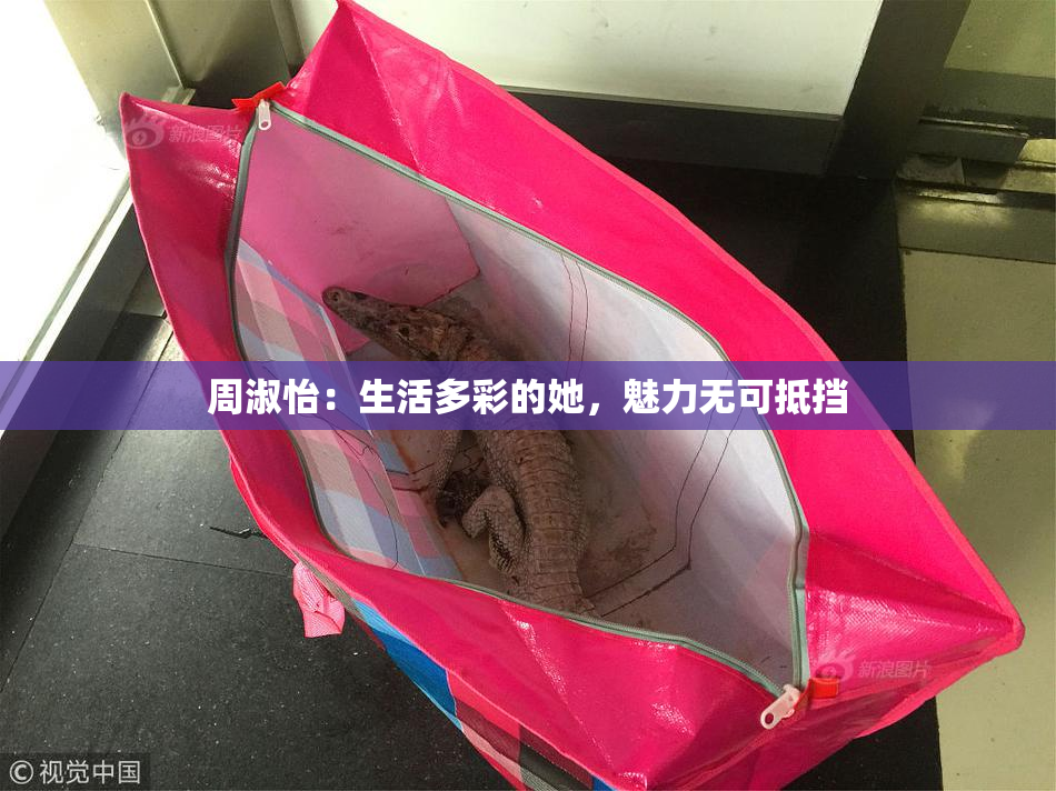 周淑怡：生活多彩的她，魅力无可抵挡
